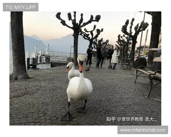 米兰官网集团官网的多语言支持与全球用户服务功能介绍 米兰官网集团官网的多语言支持与全球用户服务功能介绍